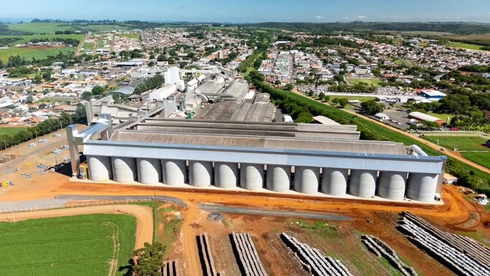 Capal chega a 70% da colheita da safra de verão com produtividade sólida e mercado pressionado