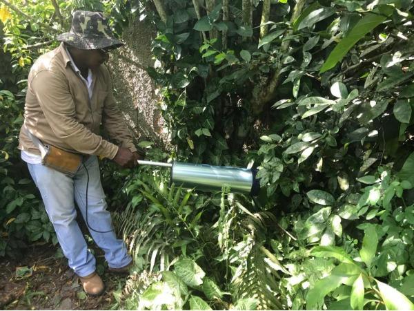 Paraná registra mais dois casos de febre amarela