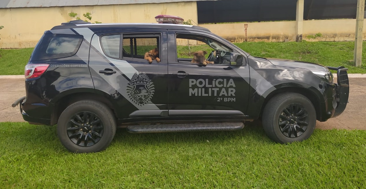 2º Batalhão da Polícia Militar divulga balanço da Operação Carnaval