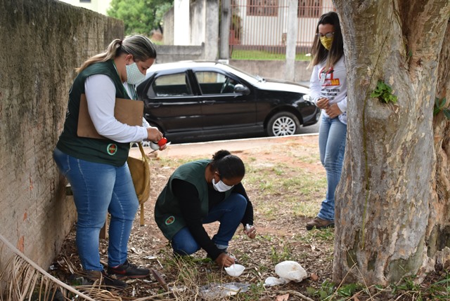 Dengue avança na região e Jaguariaíva investe na prevenção