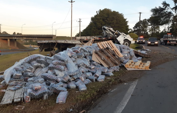 Caminhão capota e carga de feijão fica espalhado ao lado da pista