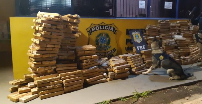 Em menos de 12 horas, PRF apreende 4,2 toneladas de maconha no Paraná