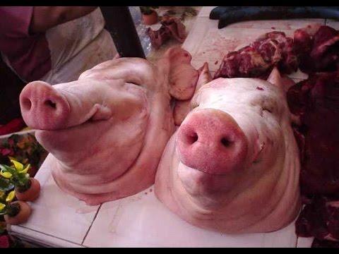 Ladrão invade casa e furta duas cabeças de porco, pacotes de arroz e um machado