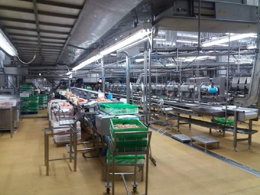 ABPA e SINDIAVIPAR defendem a retomada da produção da Avenorte