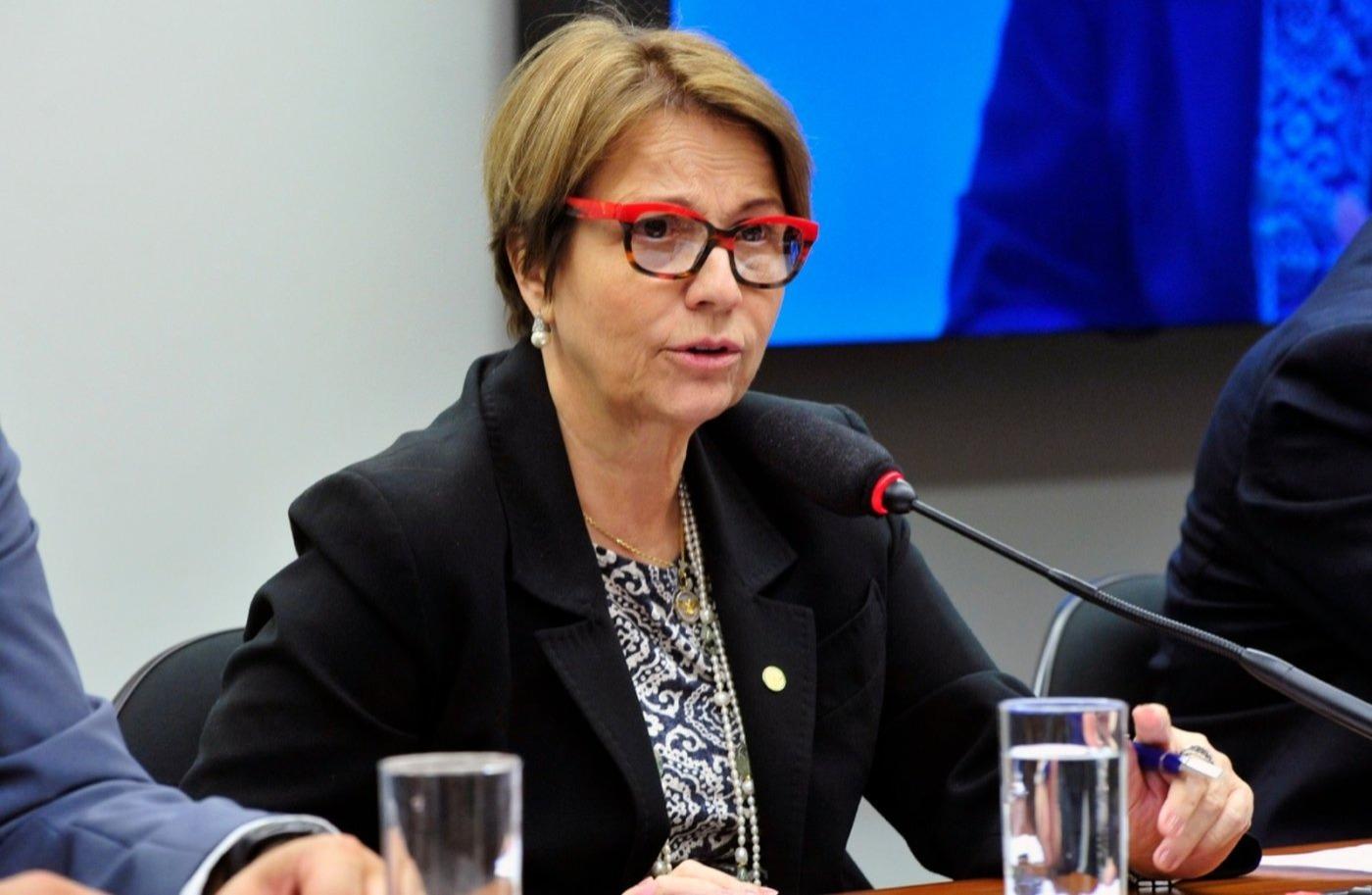 Agricultura estuda mudar financiamento do agronegócio e seguro rural