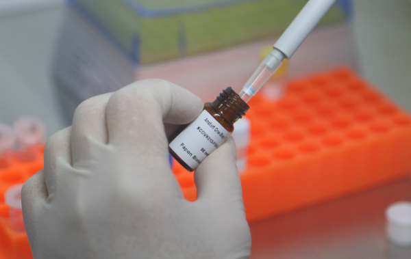 Operação que apura fraudes na compra de testes para Covid cumpre mandados no Paraná