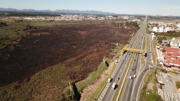 A cada quatro horas e meia, há um incêndio às margens de rodovias no Paraná