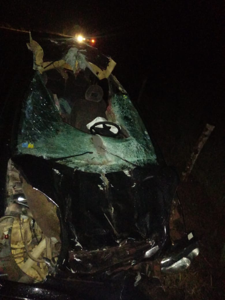 Carro bate em cavalo na PR-151 em São José da Boa Vista