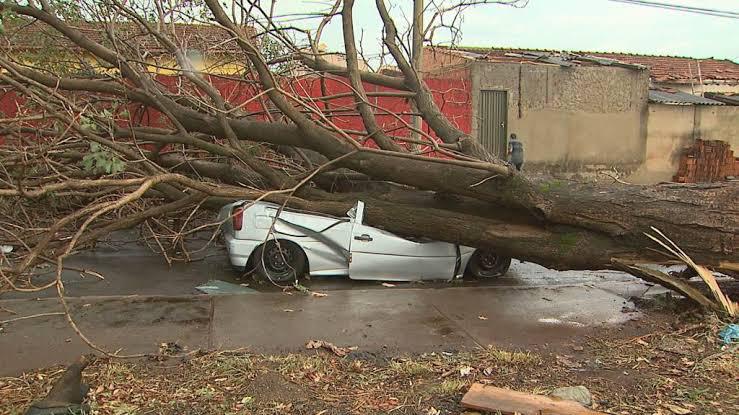 Granizo e ventos fortes deixam rastro de destruição em municípios do Norte Pioneiro
