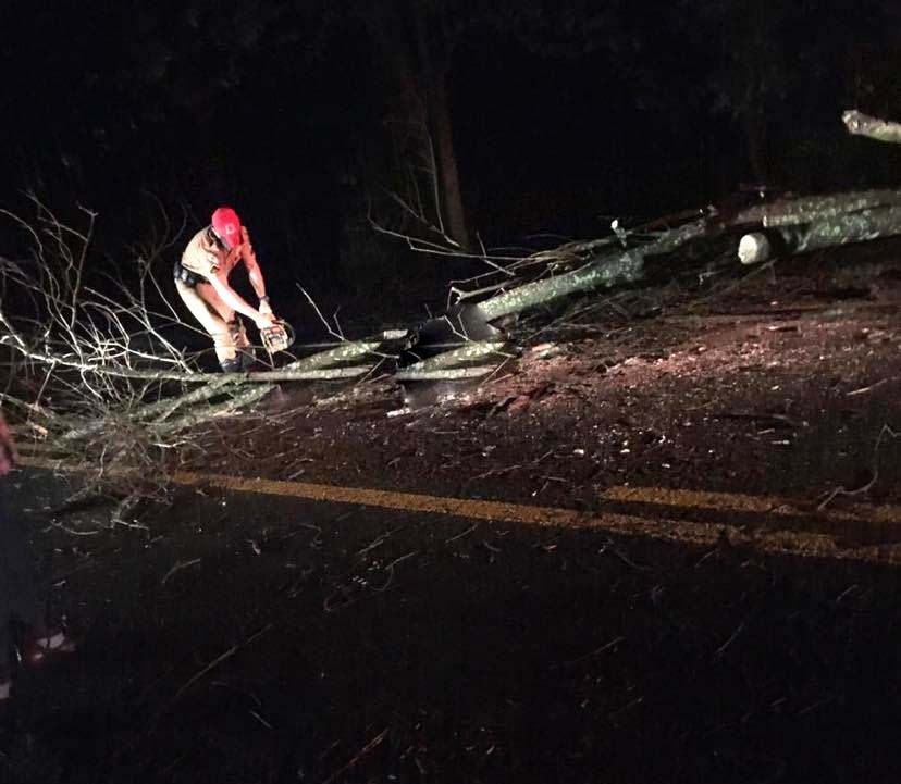 Motociclista é atingido por árvore e morre em Jaboti