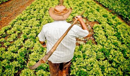 Autônomos e trabalhadores rurais devem se cadastrar no site da Receita
