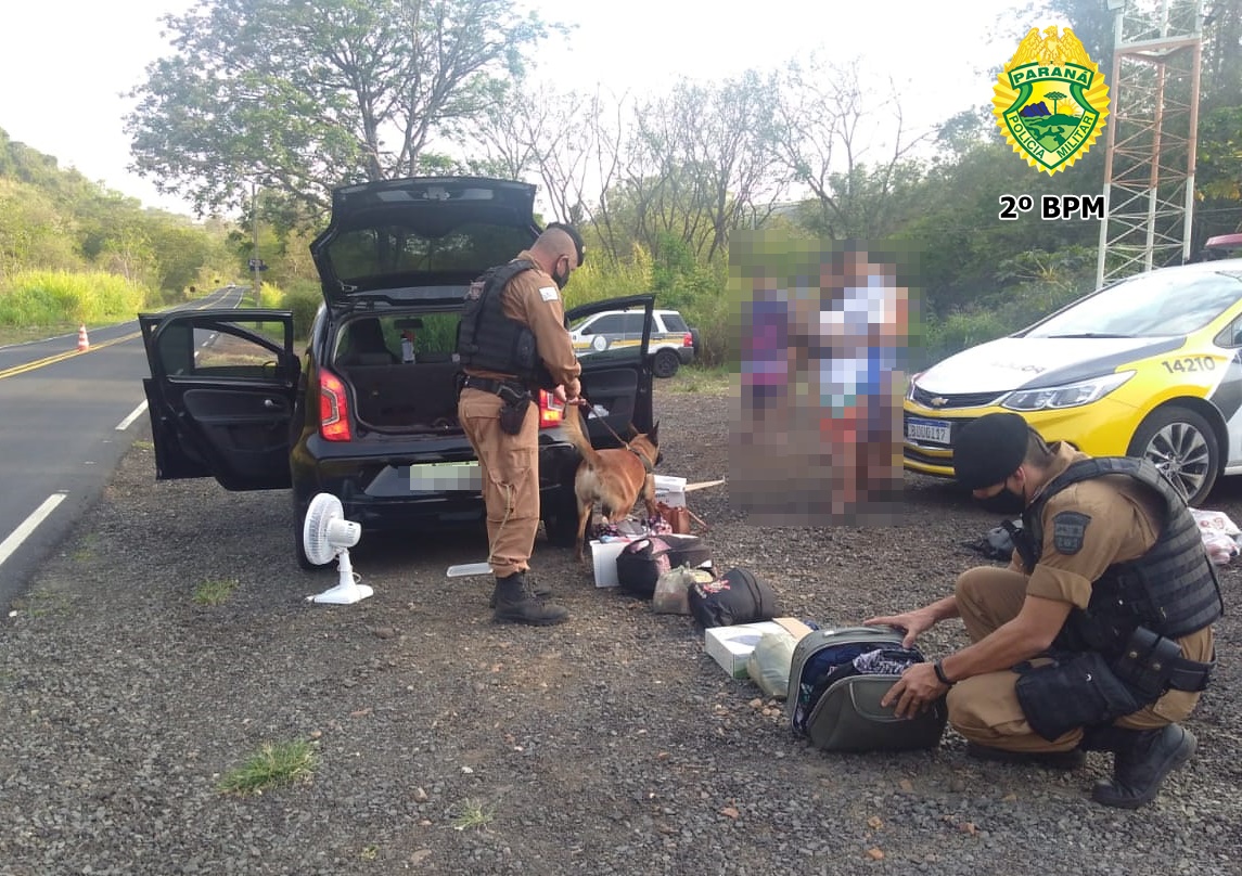 Polícia cumpre mais uma fase da operação “Divisas Integradas” no Norte Pioneiro