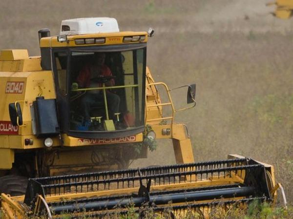 Seca e calor reduzem estimativa da produção de grãos no Paraná