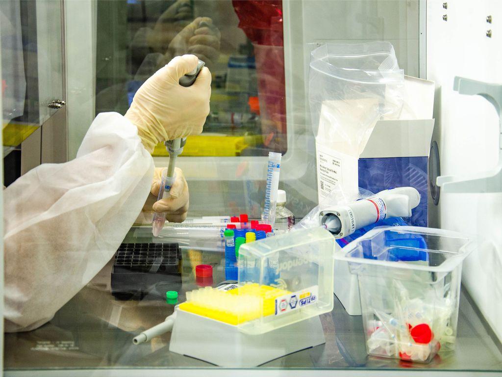 Paraná é o segundo estado com o menor número de casos e óbitos de Covid-19