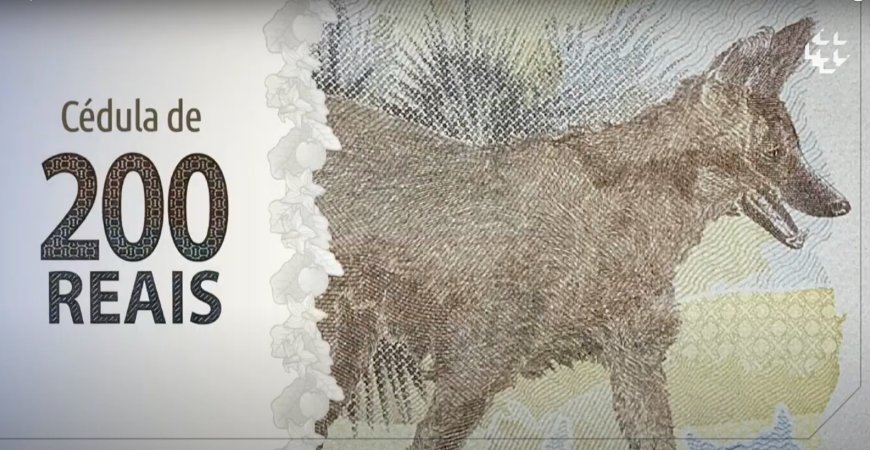 Mulher acha notas de R$ 200 e fatura de cartão na rua, paga a conta e procura dono pelo Facebook