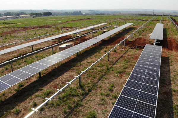 Primeira usina solar da Copel no Paraná está sendo construída no Norte Pioneiro