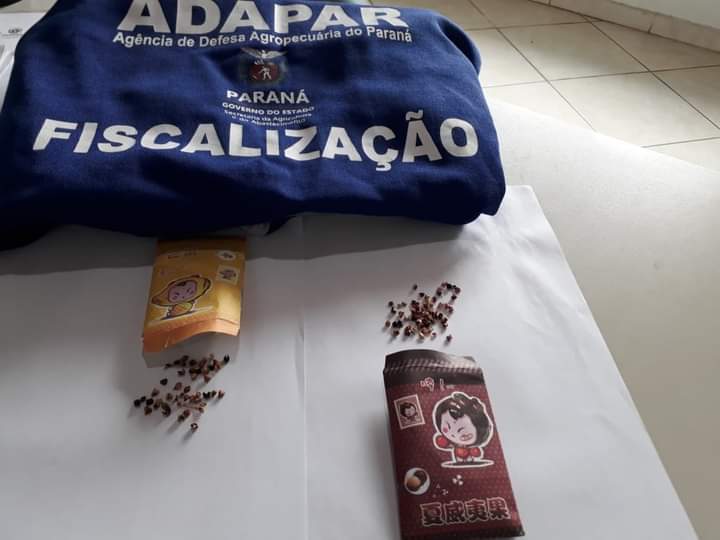 Moradores de Wenceslau Braz e Jacarezinho receberam sementes misteriosas da China