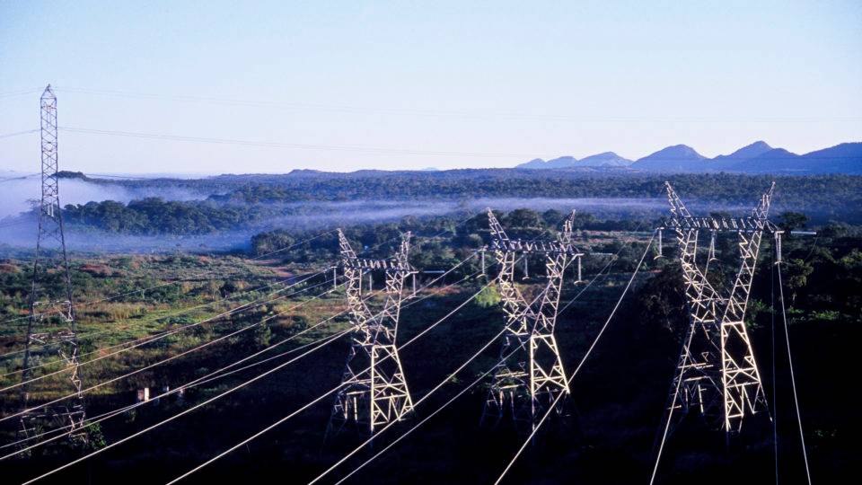 Ministério Público pede suspensão de obras das linhas de transmissão Gralha Azul
