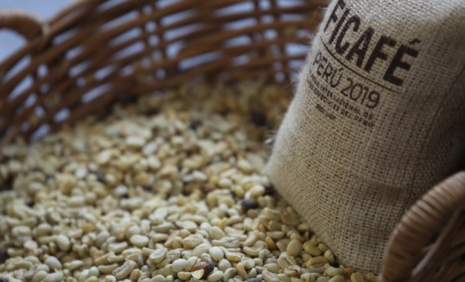 Edição 2020 100% digital tem programação especial voltada a cafeicultores e compradores