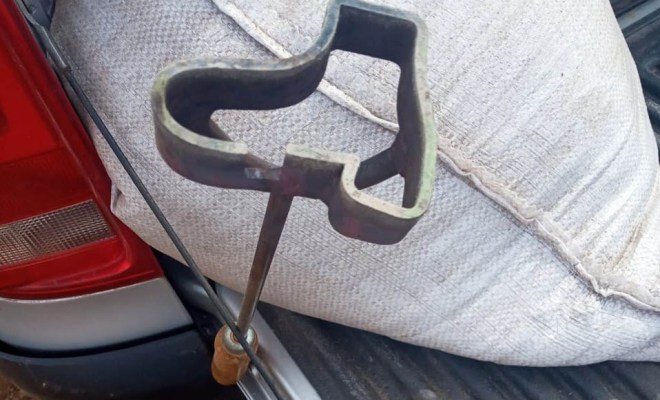 Criminosos invadem fazenda e furtam 45 cabeças de gado