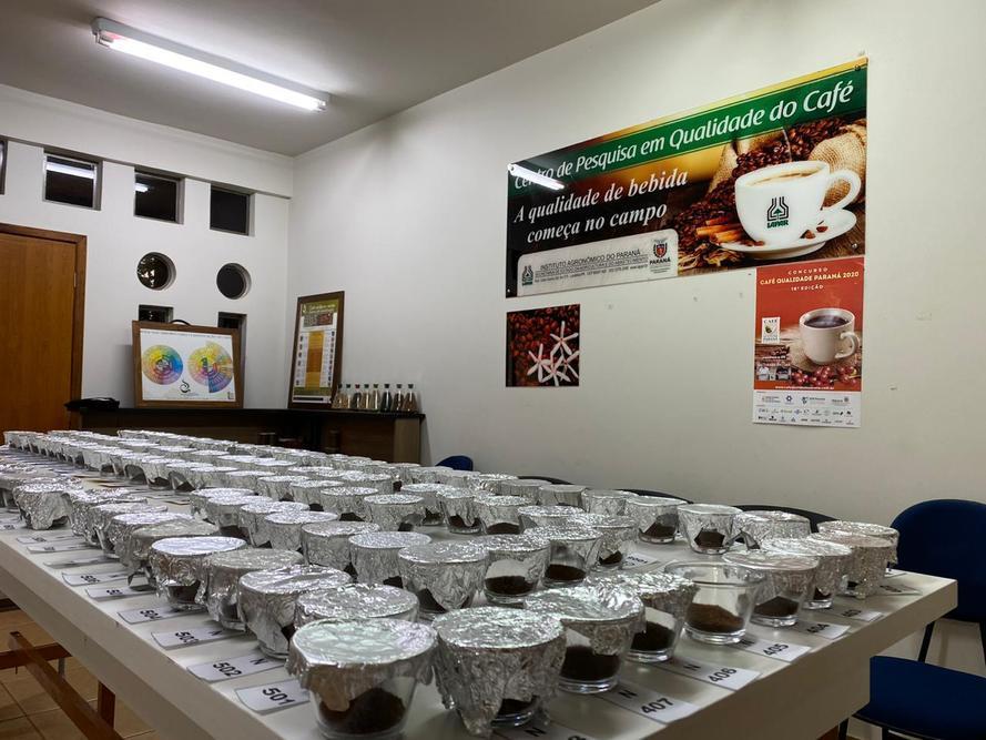 Café Qualidade Paraná tem 40 finalistas do Norte Pioneiro. Sorteio é nesta quinta