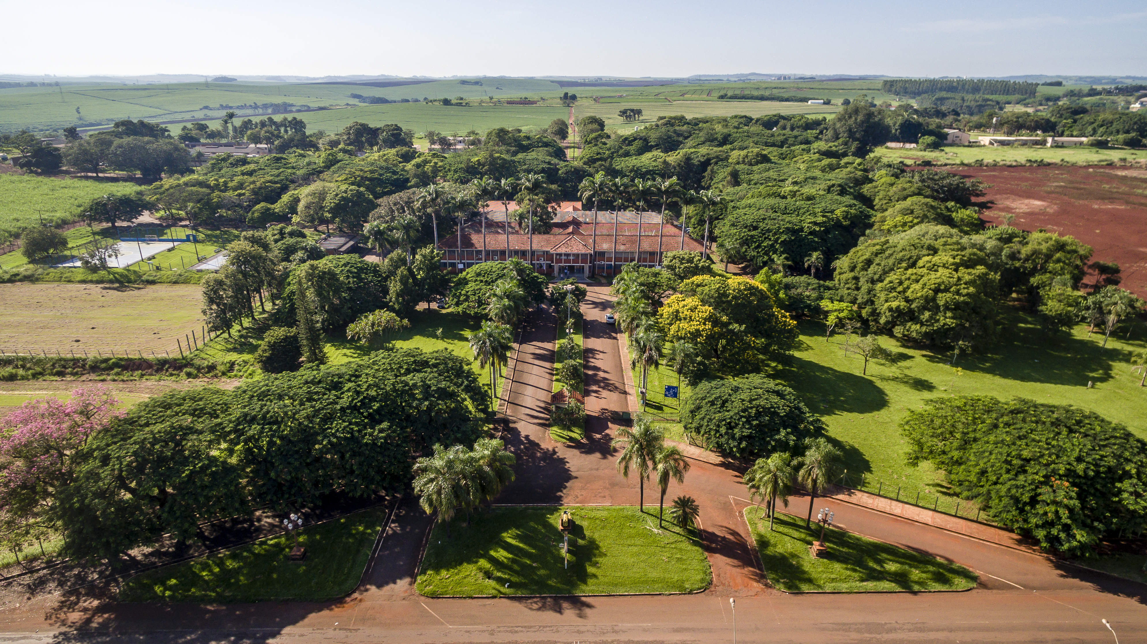 Curso de Agronomia da UENP completa 50 anos