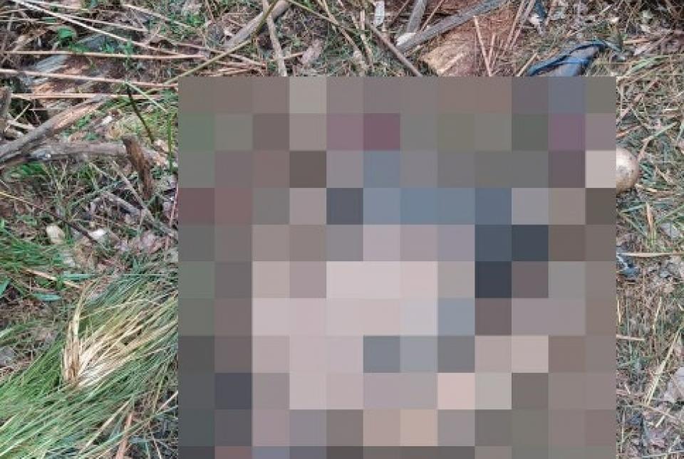 Polícia e peritos identificam corpo encontrado em Arapoti