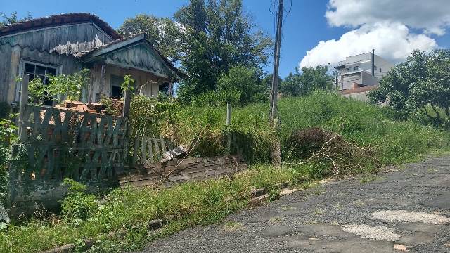 Falta de limpeza em terrenos traz riscos e pode gerar multa de quase R$ 1 mil em Jaguariaíva