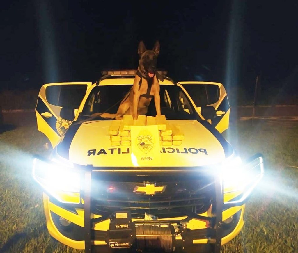 Jovem é presa com 18 kg de maconha em ônibus interestadual