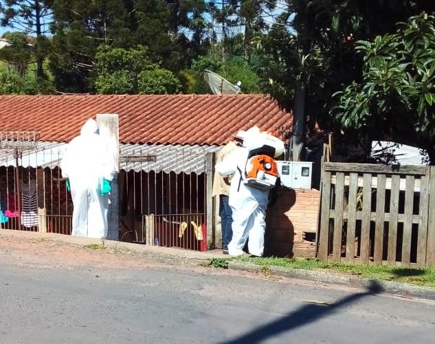 Jaguariaíva investiga novos casos suspeitos de Dengue no município