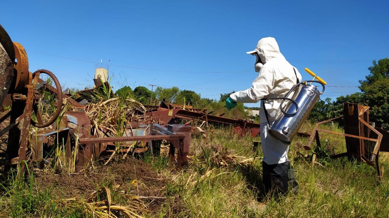 Prefeitura alerta para alto número de mosquitos da Dengue em Arapoti