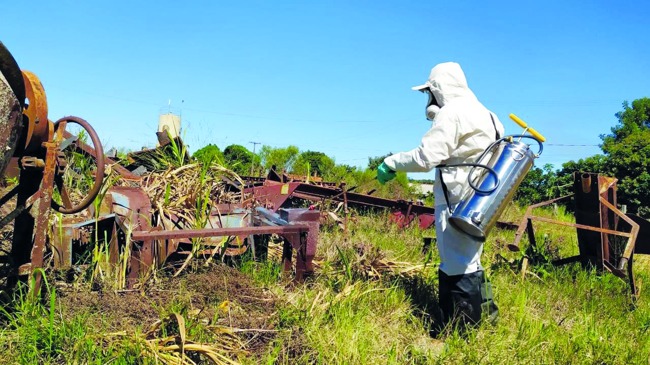 As sombras da Covid-19 Dengue causa alerta em municípios da região