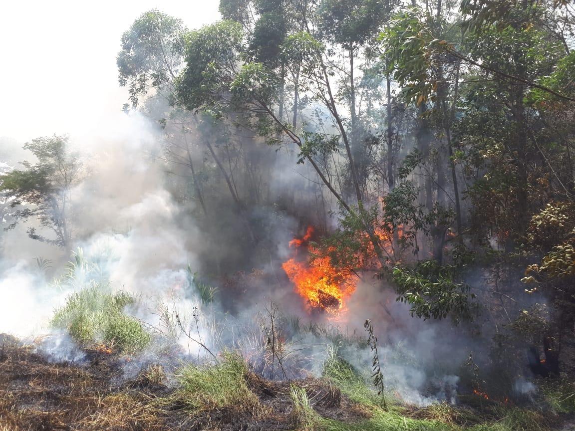 Incêndio próximo de W. Braz destrói vegetação e atrapalha visão dos motoristas