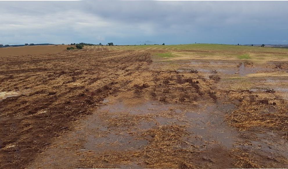 Descompactação e correção do solo em perfil traz ganhos em produtividades