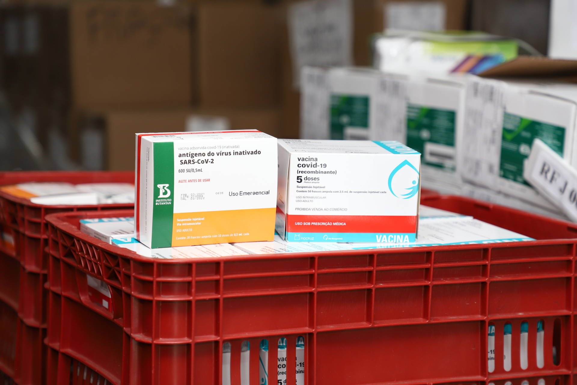 Paraná deve receber mais 413,8 mil vacinas contra a Covid-19