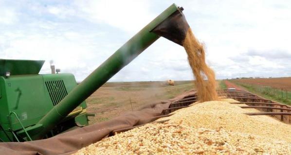 Safra de grãos de 2019 deve ser 3,1% maior que a de 2018, diz IBGE