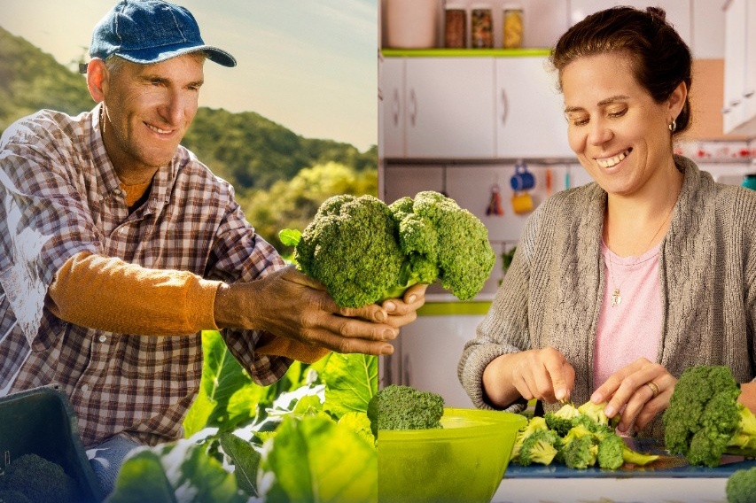 Governo do Estado investe em projetos voltados para a segurança alimentar dos paranaenses