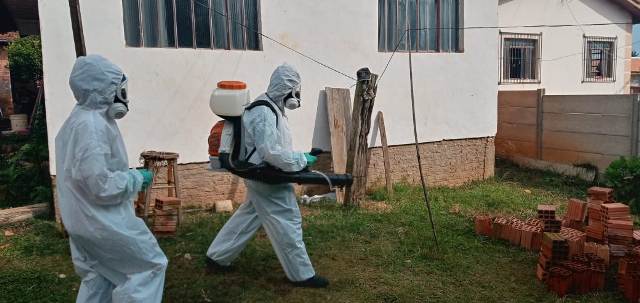 Em paralelo as ações contra Covid-19, prefeitura de Jaguariaíva segue na prevenção da Dengue