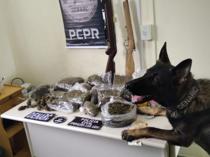 Polícia Civil cumpre mandados no combate ao tráfico em Jaguariaíva e Sengés