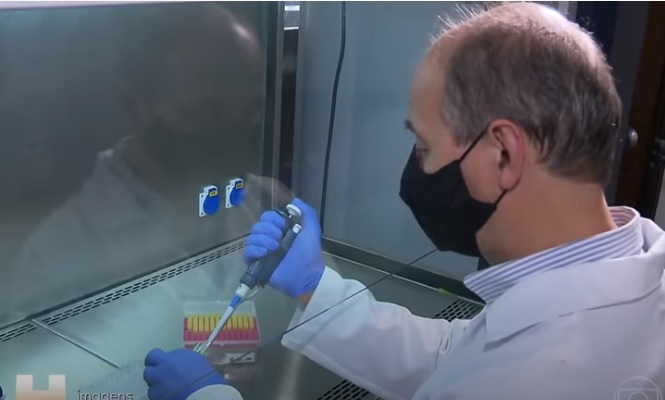 Com investimentos do Governo Estadual, vacina da UFPR produz anticorpos contra a Covid-19