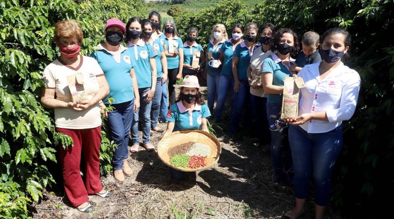 Projeto Mulheres do Café no Paraná valoriza produtoras e garante fama internacional