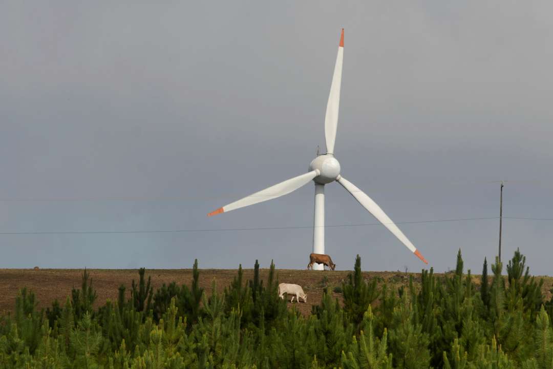 Estudo da OCDE mostra Paraná como exemplo mundial em desenvolvimento sustentável