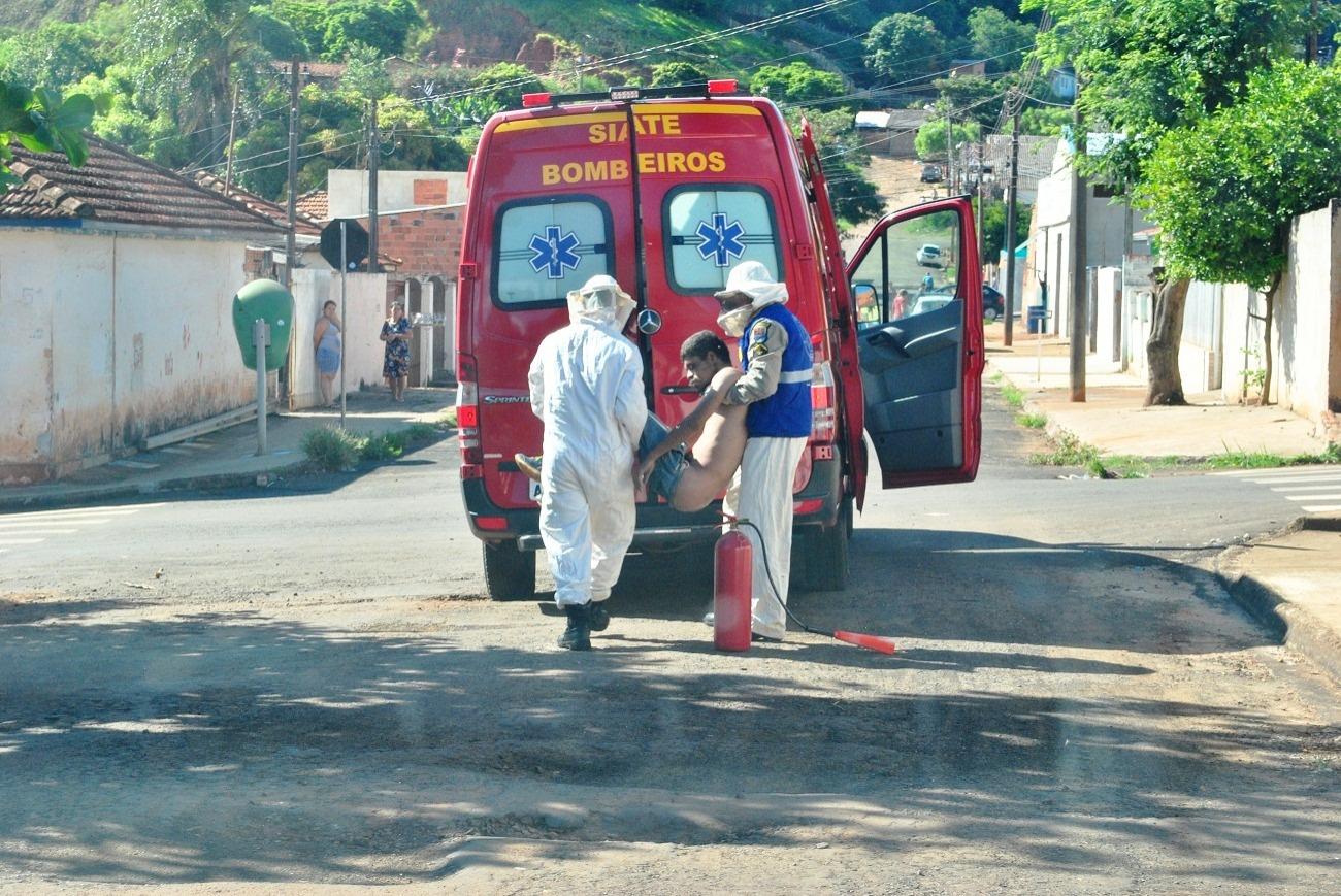 Ataque de abelhas mata homem e deixa feridos