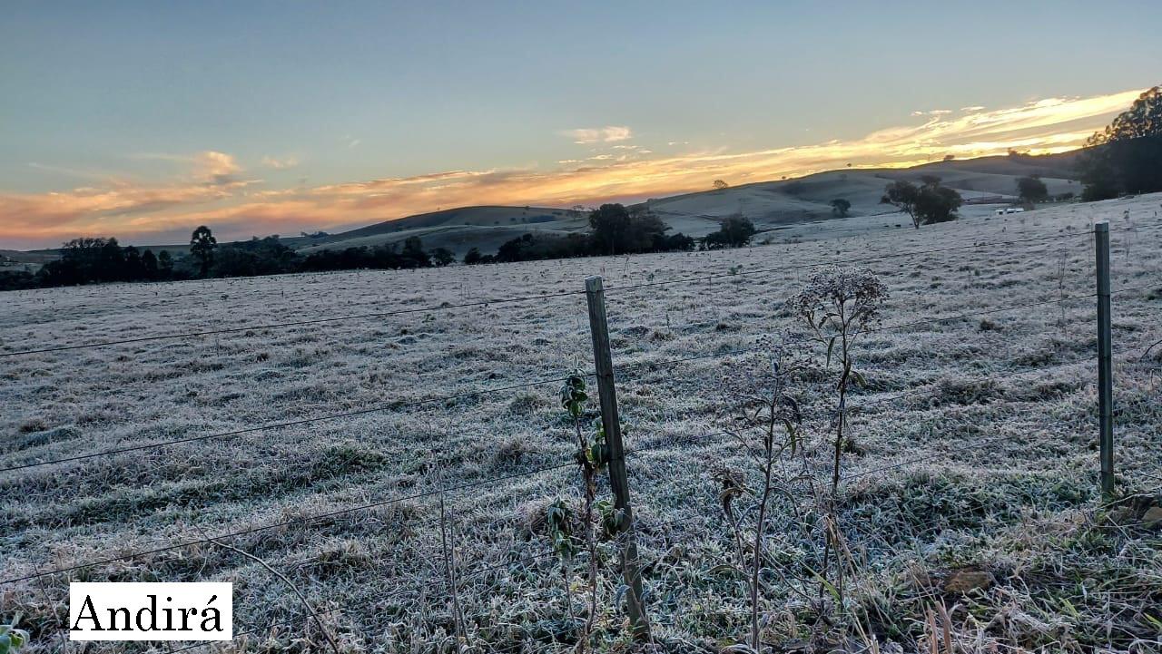Onda de frio chega ao Norte Pioneiro e temperatura mínima pode chegar a -1° C