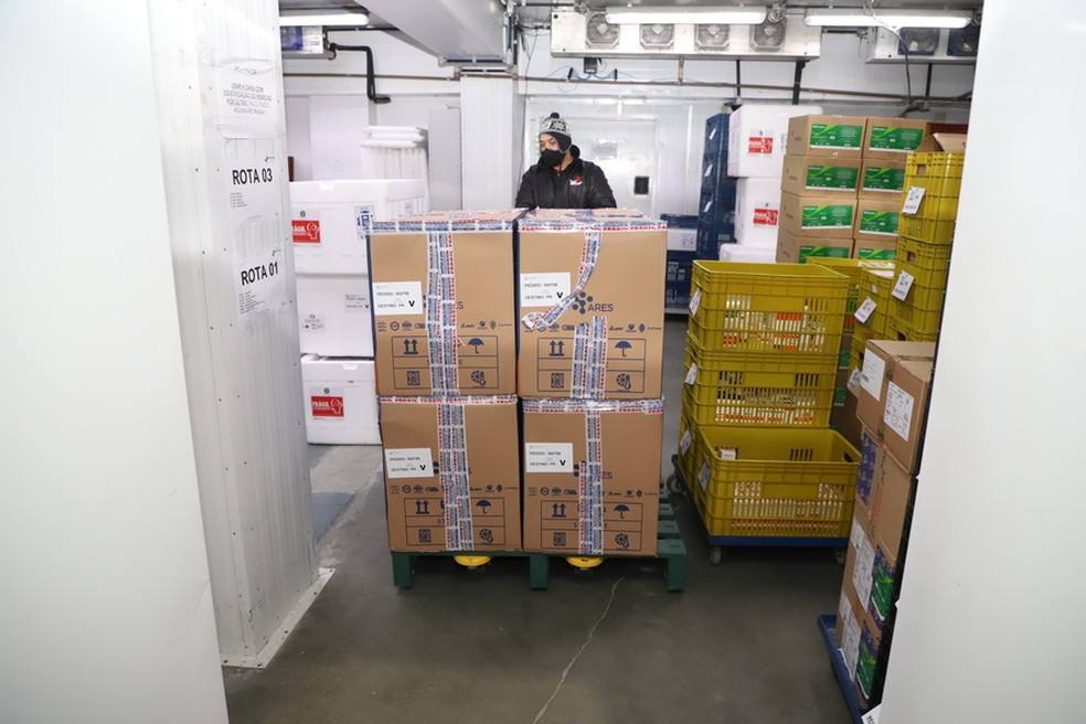 Paraná recebe mais 118.170 doses da vacina da Pfizer contra a Covid-19