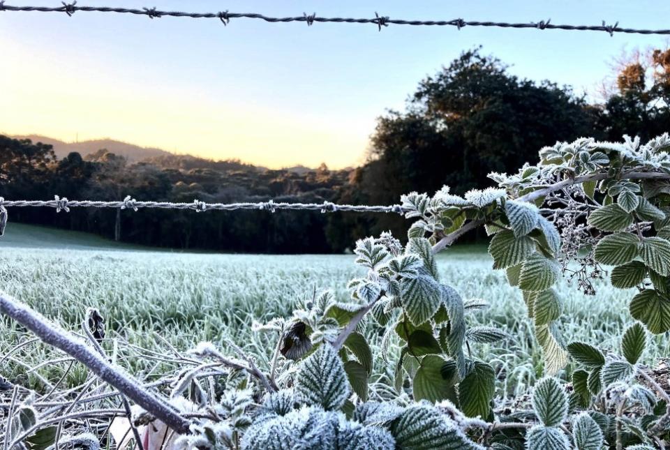 Jaguariaíva volta a registrar temperatura negativa na madrugada desta sexta-feira