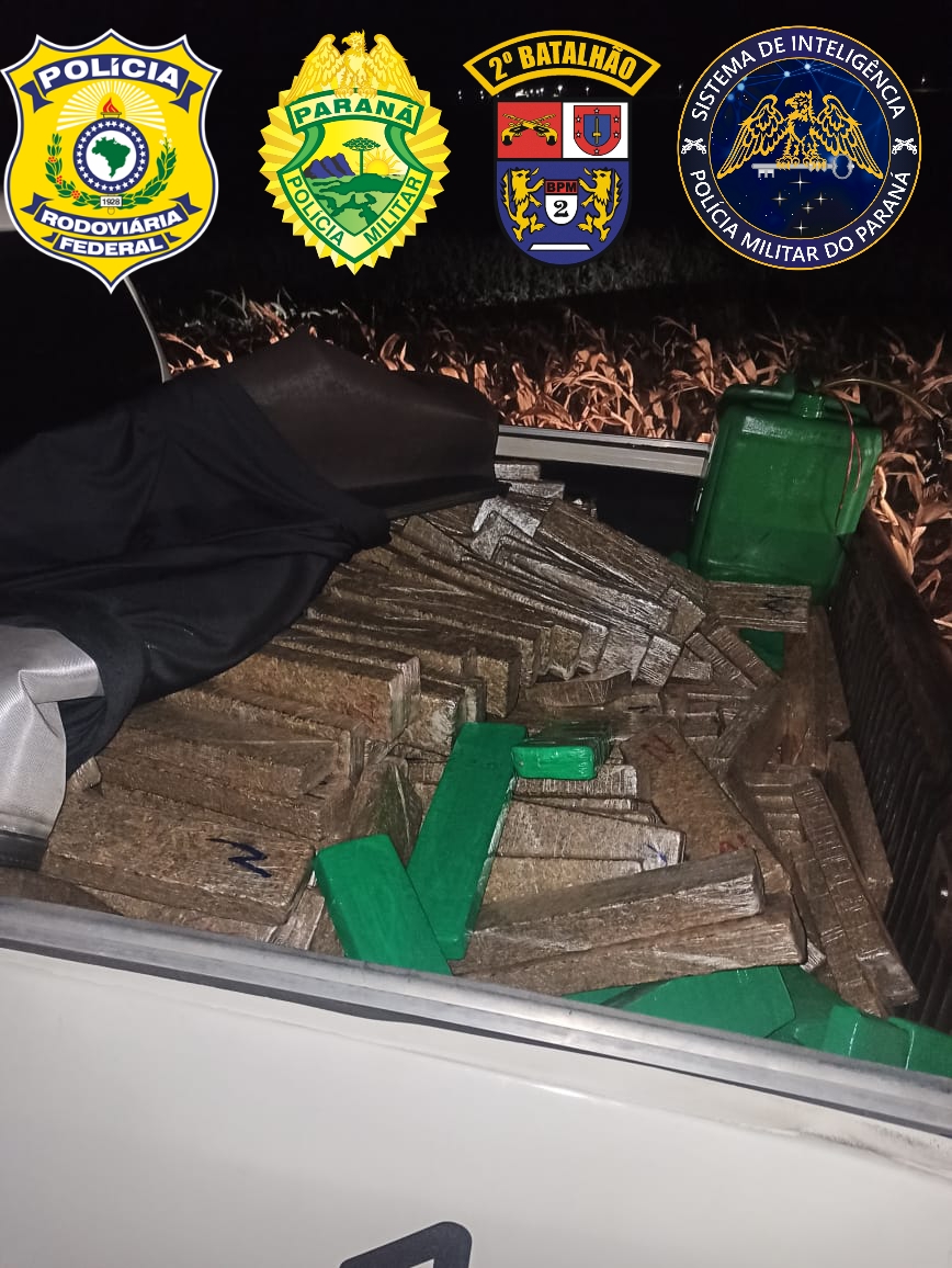 Denúncia anônima leva a apreensão de mais de uma tonelada de maconha no Norte Pioneiro