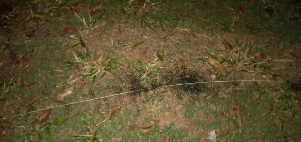Trabalhador morre eletrocutado em Santo Antônio da Platina