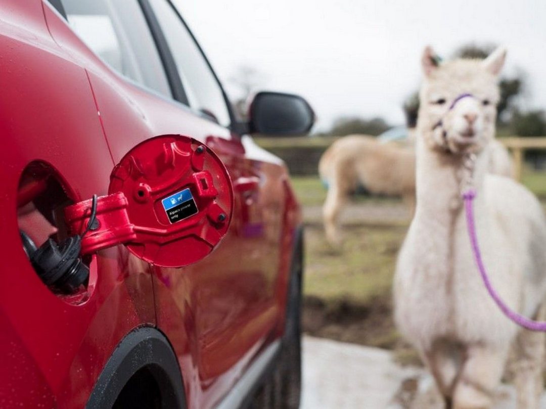 5 verdades sobre carros em 2021 que deveriam ser piada de 1º de abril