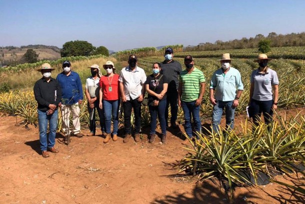 Produção orgânica do Norte Pioneiro é referência para outros estados